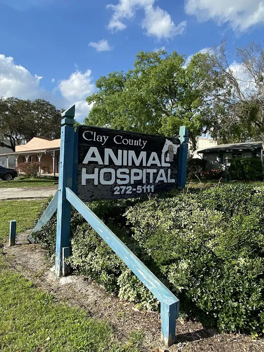 Clay County Animal Hospital 8