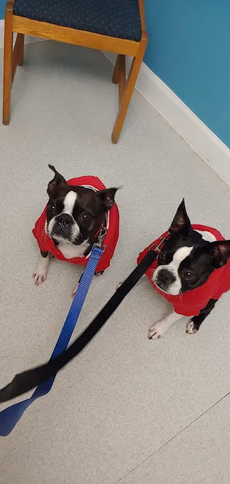 Clay County Animal Hospital 5