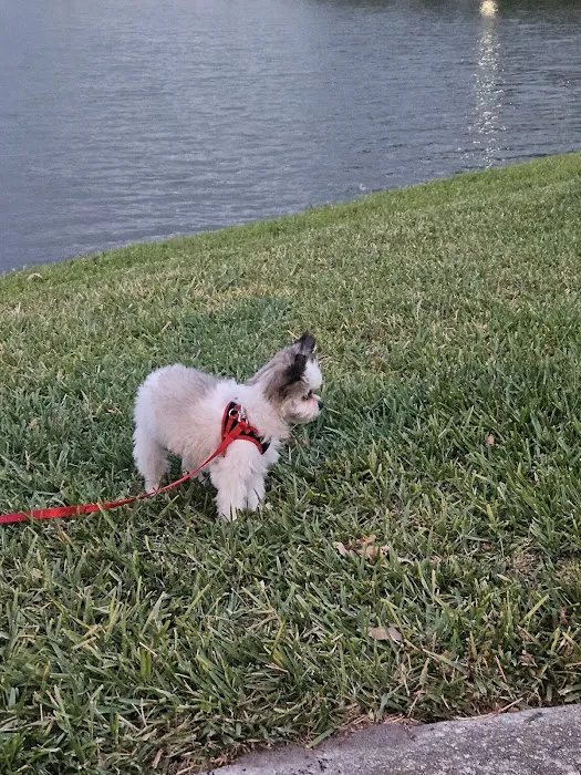 VCA All Animal Hospital of Orange Park 12