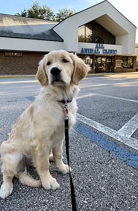 VCA All Animal Hospital of Orange Park 12
