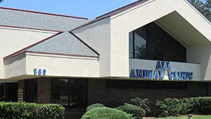 VCA All Animal Hospital of Orange Park 12