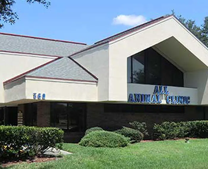 VCA All Animal Hospital of Orange Park 12