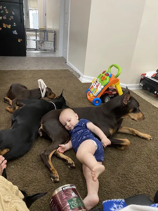 VCA All Animal Hospital of Orange Park 12
