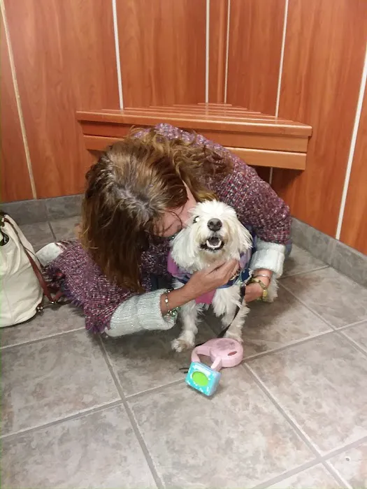 Lake City Animal Hospital 12