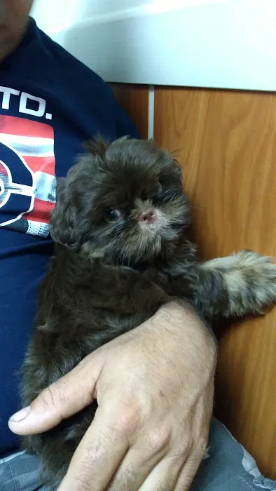 Lake City Animal Hospital 12