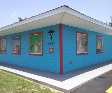 Caring Hands Animal Hospital