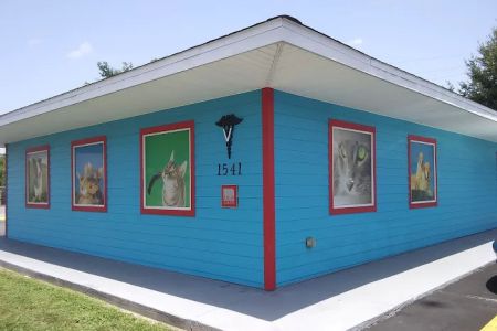Caring Hands Animal Hospital