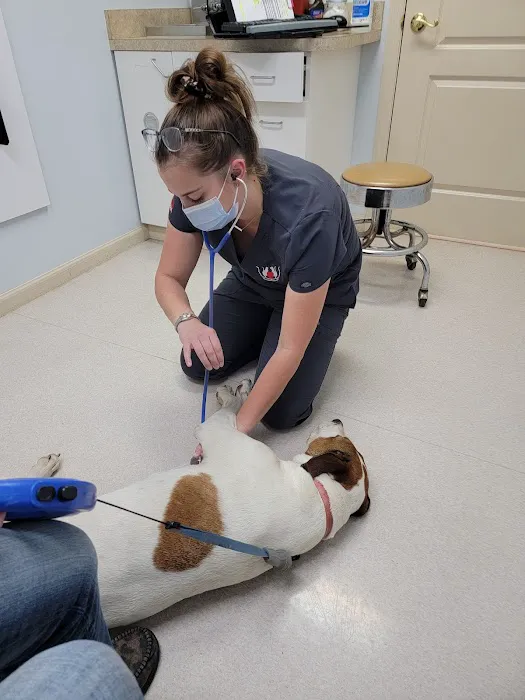 Caring Hands Animal Hospital 12