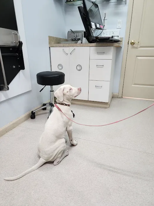 Caring Hands Animal Hospital 12