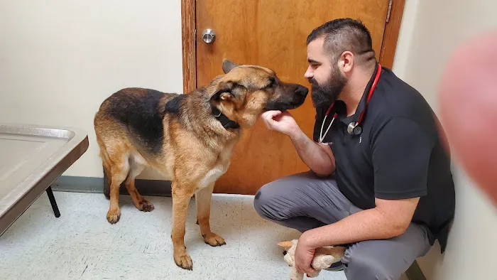 Compassion Veterinary Hospital 12