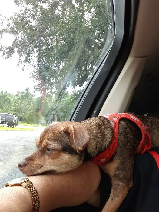 Addison Animal Hospital 8