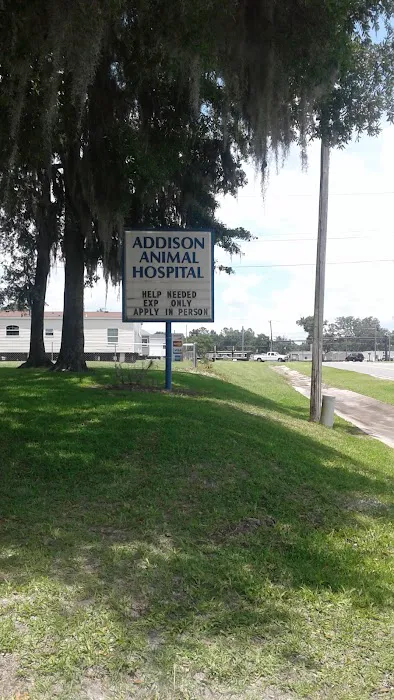 Addison Animal Hospital 4