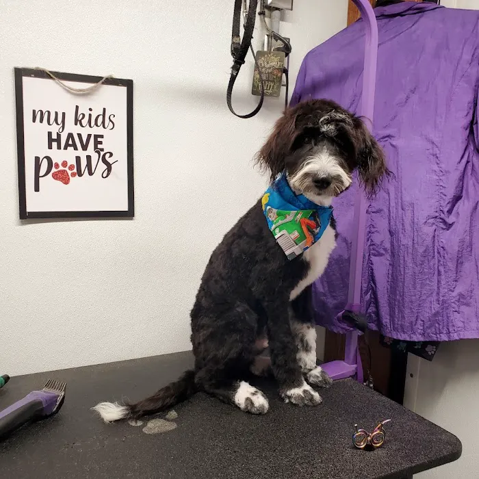 Addison Animal Hospital 5