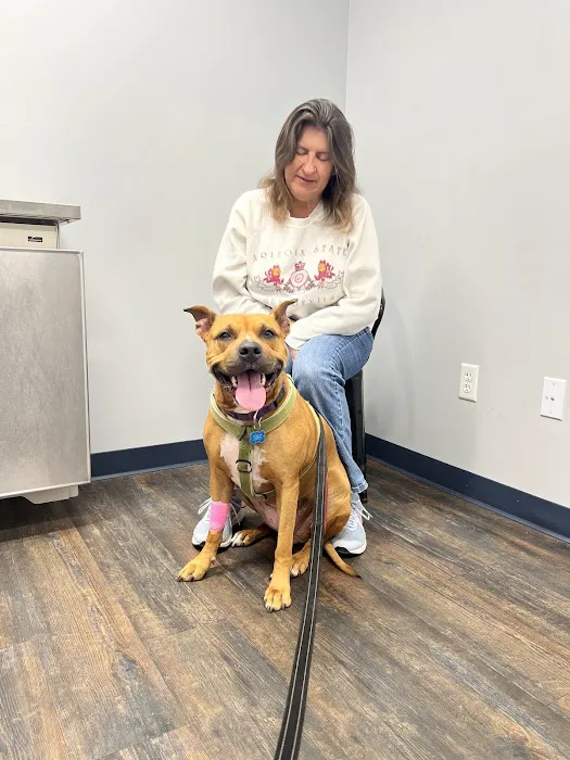 Southeast Veterinary Hospital 4