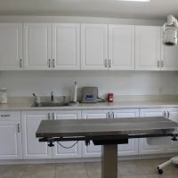 Southeast Veterinary Hospital ico