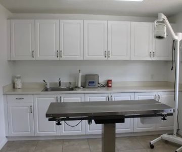 Southeast Veterinary Hospital