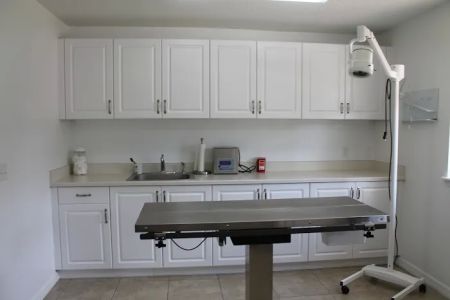 Southeast Veterinary Hospital