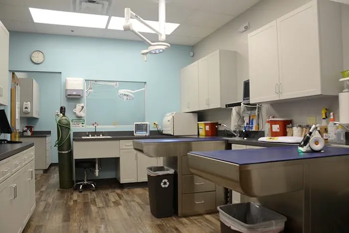 Shores Animal Hospital 12
