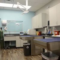 Shores Animal Hospital ico