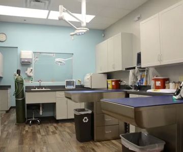 Shores Animal Hospital