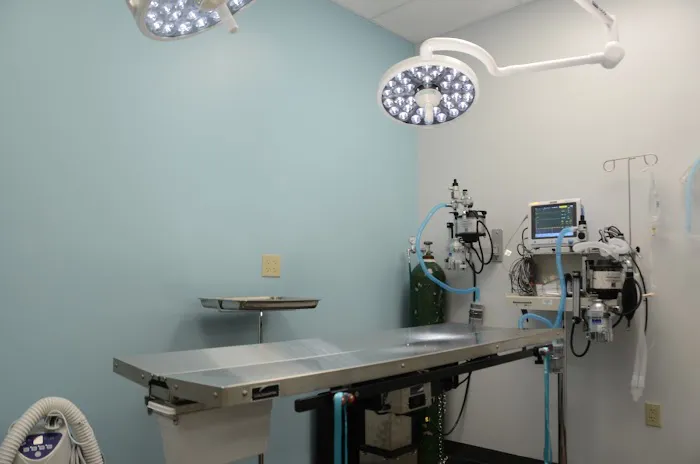 Shores Animal Hospital 12