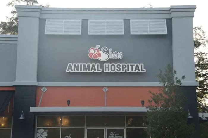 Shores Animal Hospital 12