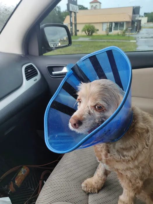 Moultrie Animal Clinic 1