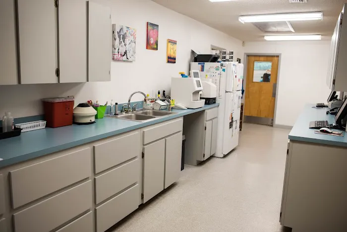 Moultrie Animal Clinic 9