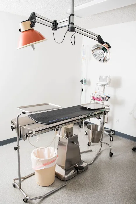 Moultrie Animal Clinic 8