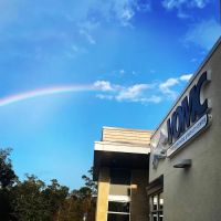 Veterinary Orthopaedic and Mobility Center ico