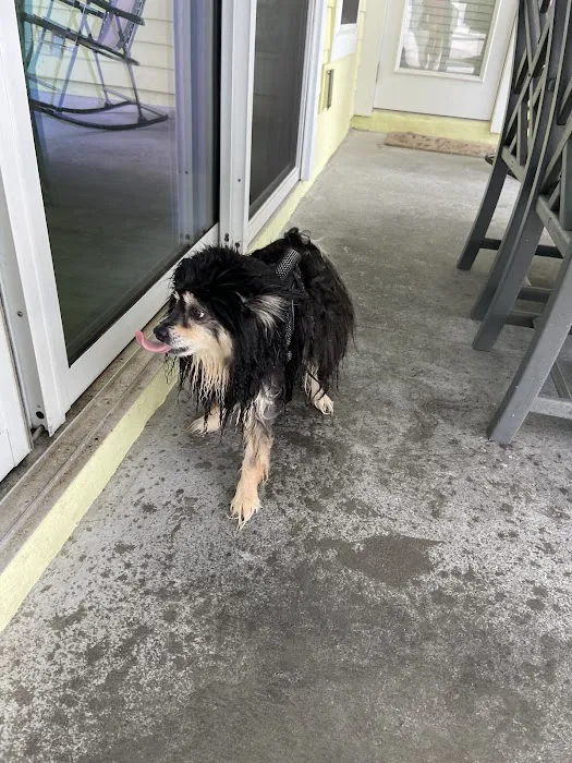 Animal Wellness Center 12
