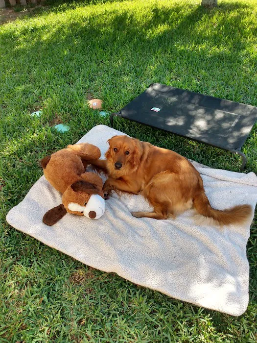 Animal Wellness Center 12