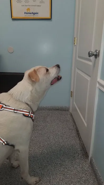 Moses Creek Animal Hospital 12