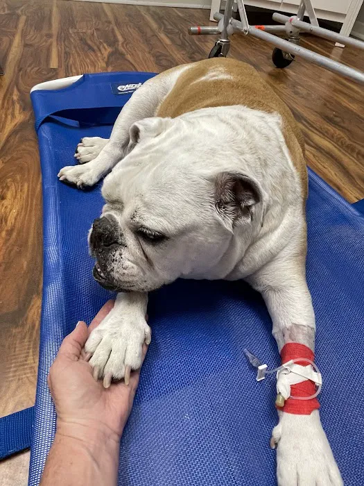 St. Augustine Regional Veterinary Emergency Center 12