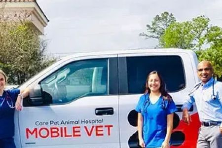 Race Track Animal Hospital