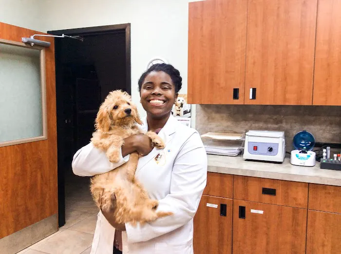 Forever Vets Animal Hospital at Race Track 12