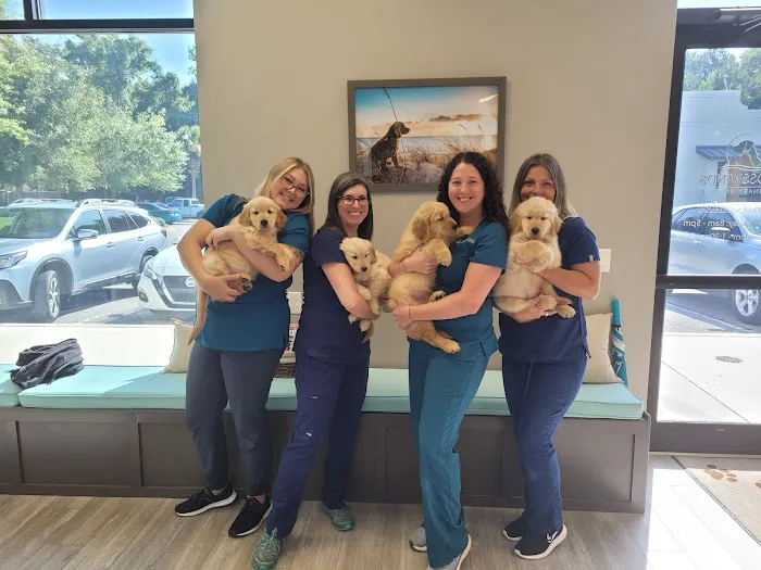 Crosswinds Veterinary Hospital 12