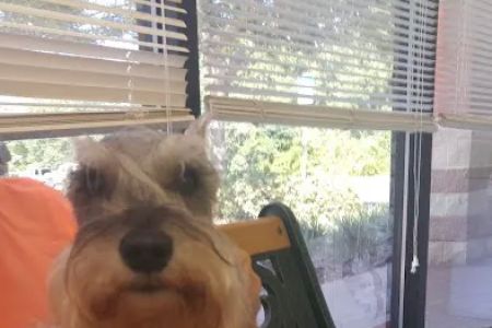 Greenbriar Animal Hospital