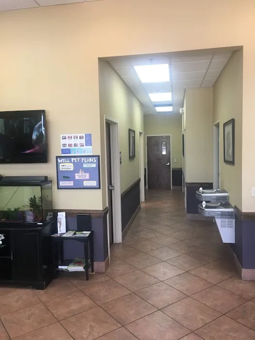 Bartram Park Animal Hospital 6