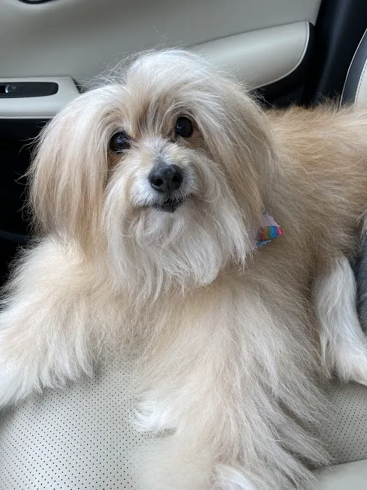 Forever Vets Animal Hospital – Bartram Market 1