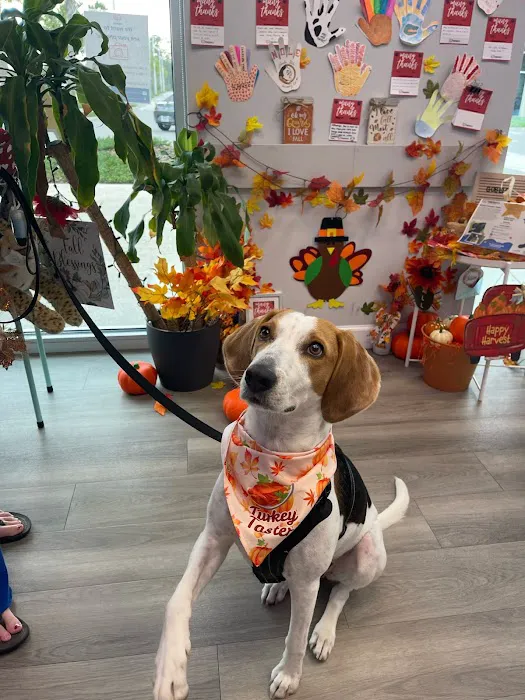 Forever Vets Animal Hospital – Bartram Market 6