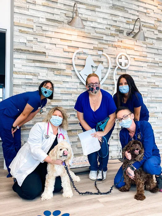 Forever Vets Animal Hospital – Bartram Market 5