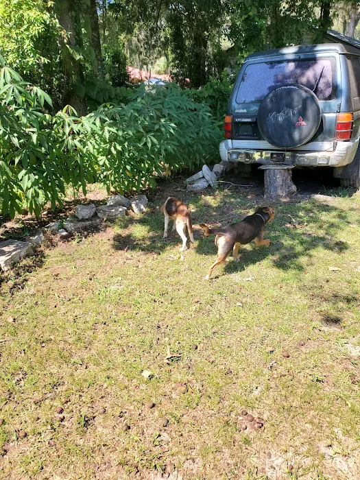 All Springs Veterinary Hospital 12