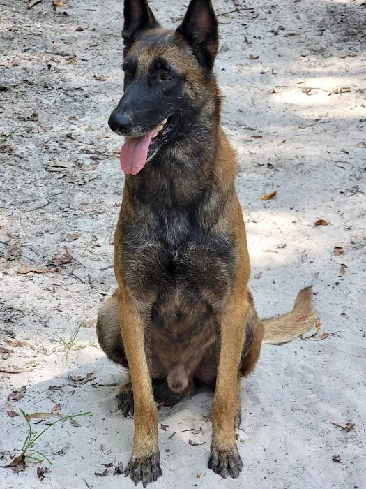 Mayo Town & Country Animal Hospital 12