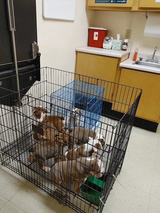 Mayo Town & Country Animal Hospital 12