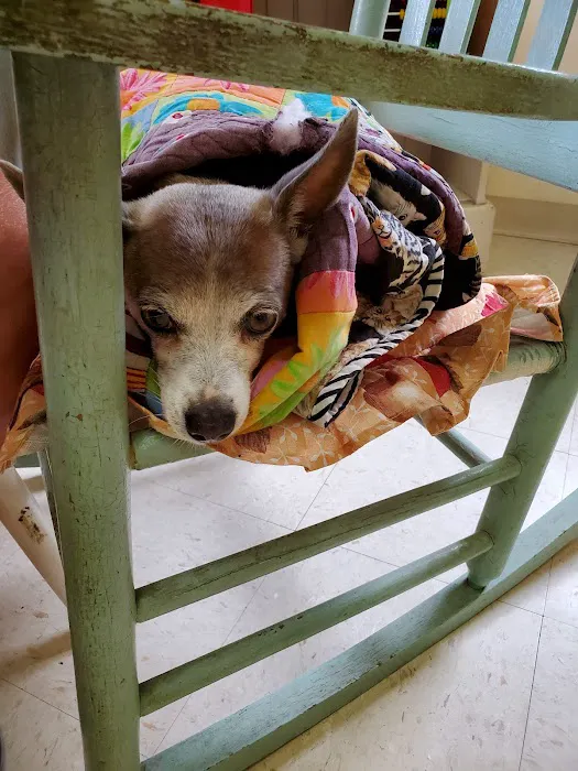 Mayo Town & Country Animal Hospital 12