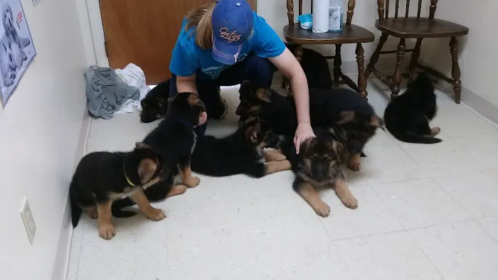 Mayo Town & Country Animal Hospital 12