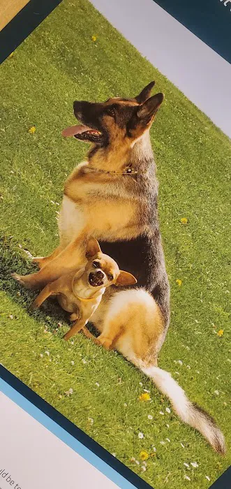Mayo Town & Country Animal Hospital 12