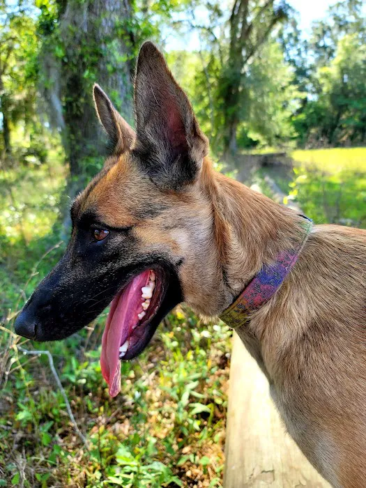 Mayo Town & Country Animal Hospital 12