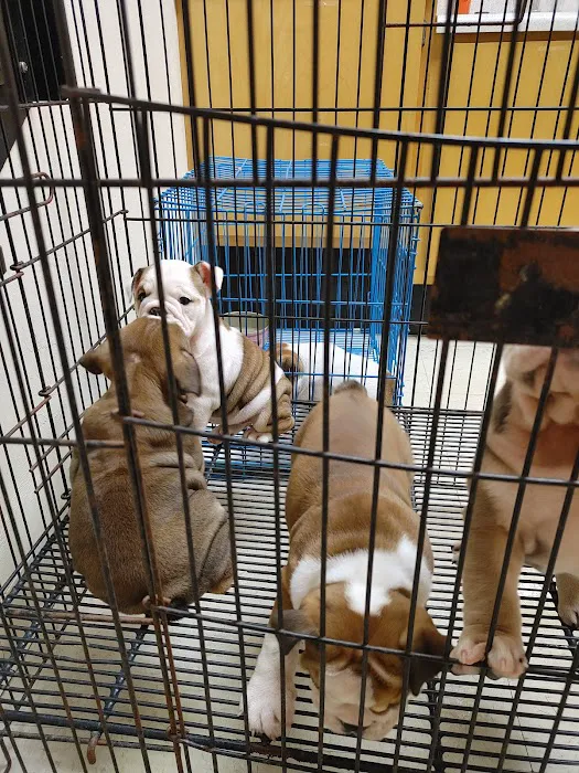 Mayo Town & Country Animal Hospital 12